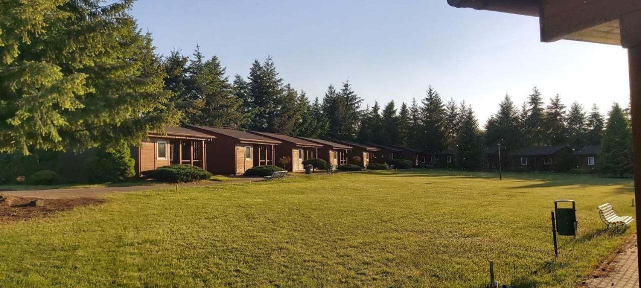 Ab Domki Caloroczne Nad Jeziorem Stęszew Exterior foto